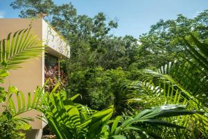 Villa Caiman Luxury 5BR Villa in Los Santos Tulum