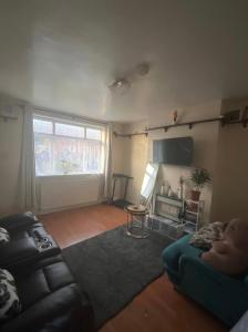Minimalist Single Bedroom