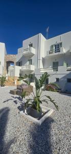 Syros Blue Lagoon G2