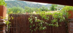 Casa Hiedras