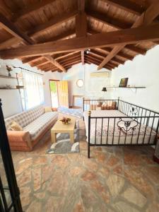 Stone mansion with private pool and garden and authentic village house