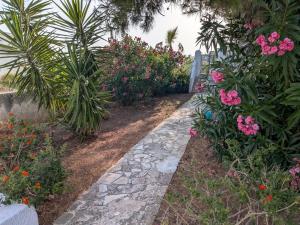 Casa Merla, terrazza vista mare