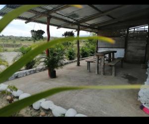 Pachingo la primavera