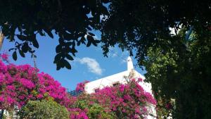 Xenonas - 3hvězdičkové hotely ve městě Kamilárion