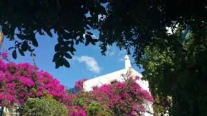 Xenonas - 卡米拉日