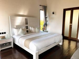 Ocean View Family Wellness Mocean Tribe Villa