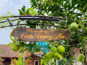 LITTLE TRANG AN HOMESTAY