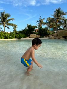 The Song Luxury Apartment Vung Tau - Căn Hộ Du Lịch Biển Vũng Tàu