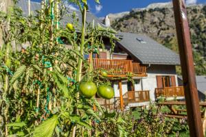 Chalets Chalet Dibona : photos des chambres