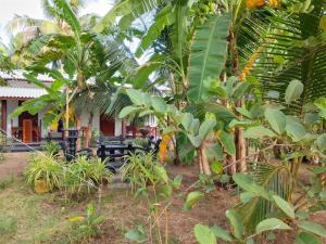 Wilpattu Coconut Villa