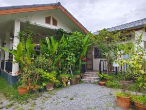 Chiang Mai Downtown Privacy Home