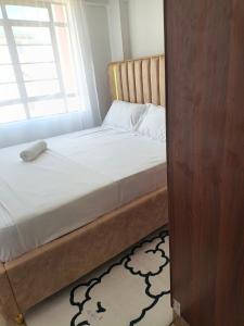 Dwelling Stay Of Decor