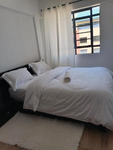 Dwelling Stay Of Decor