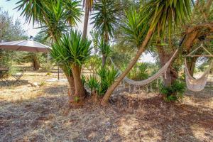 Masseria Dell800
