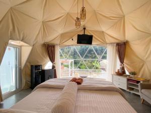 Azalea 1 - Private Dome