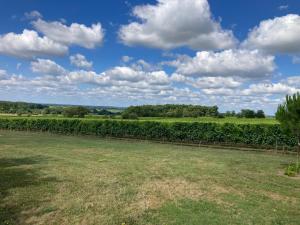Chateau Haut Cazevert - Harandailh