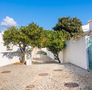 Bright family house in Alvor with stunning sea view