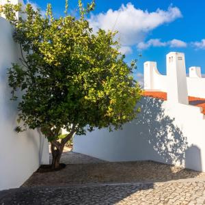 Bright family house in Alvor with stunning sea view