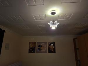 Classic Studio - Ciaraini Nyeri