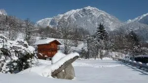 Chamonix petit chalet Cocooning - 塞尔沃兹