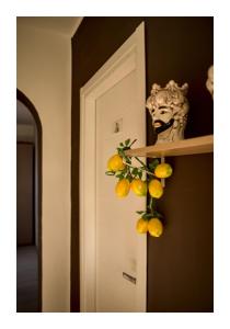 Ficodindia home