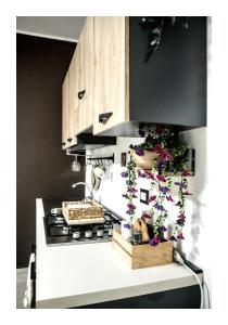 Ficodindia home
