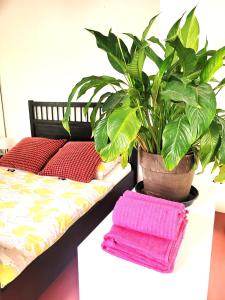 Get-your-flat - Tiny Flat in Gründerzeithaus, super sweet, Kreuzviertel - 50 m2 EG Haustier auf Anfrage