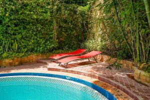 Riad Salt River