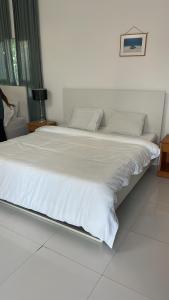 Salem Fish Guest House