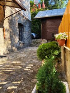 The Stone Garden Apartment - free parking, private yard