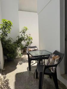 Zachos studio
