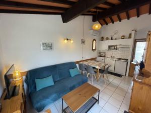 Villa 3 pièces climatisée avec jardin, proche plage, piscine, parking, et animaux autorisés - Saint Cyprien - FR-1-106-32