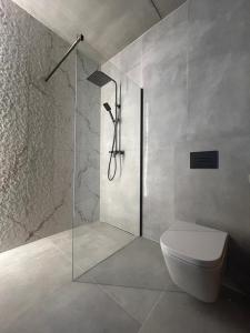 Apartamenty Vistula