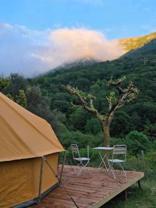 Nova Forest Montseny