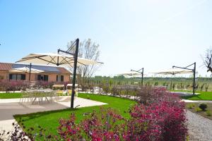 Country Lodge near Venice