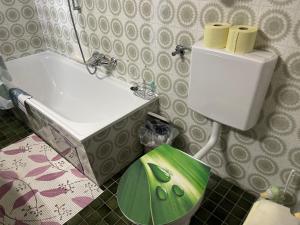 Appartement Moni XXL 55m2