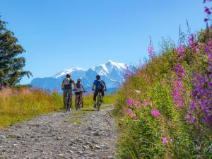 Chaleureux studio près des pistes avec parking et animaux acceptés - FR-1-505-6