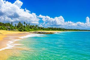 Guru Beach Resort