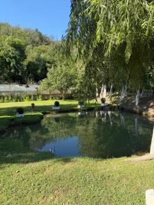 Vega House Luxury & Relax
