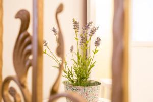 Holiday Home Smokovec