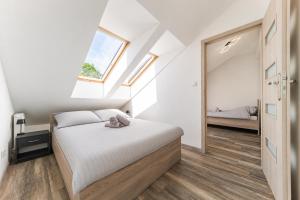 Apartament Św Jana