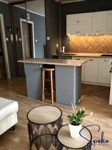 Silver Studio