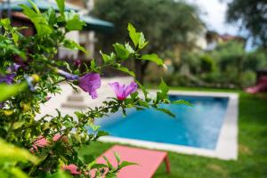 Villa Acqua Blu Gorgeous villa with ample garden