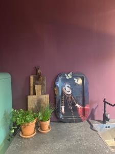B&B De Noorderzon