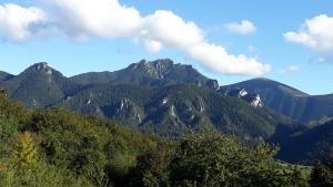 Drevenica pod lesom