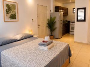 Estudio elegante en Santiago