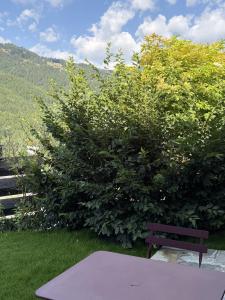 Au pied du Granon, Serre Chevalier - Chantemerle