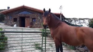 Finca Rural House Tenerife Relax