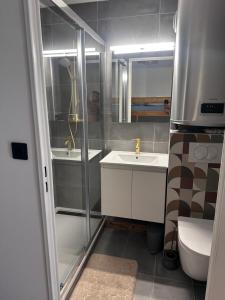 Studio 4 personnes au pied des pistes de Bernex 74500