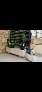 Apartment Lovre